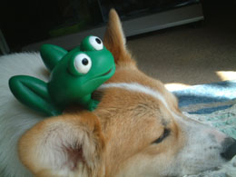 �����邳��u�N����悧�`�v