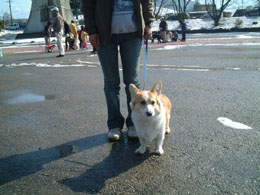 �ꏏ�ɋL�O�B�e�B�͂��`�[�Y�I�I�����H�ł��o����񔼕������ʂ��ĂȂ������I�I