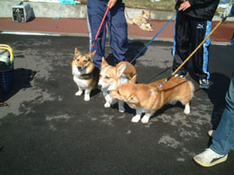 �ނ����č�������񂿂��E�E���������񂾂�I�I