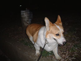 �l�̒a�����I�I�����I�I