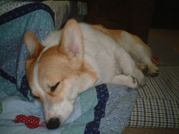 �˂ނ˂ށ`�`�E�E�E�E