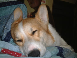 �����`�`�����`�`�`�E�E�E