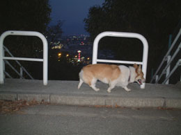 ���R�ɑ���Ă��ꂵ����I�I