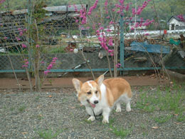 ���Ԃ������ς��Ȃ̂����I�I