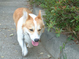 �R�O�x�H�I���������n�@�`�n�@�`�`