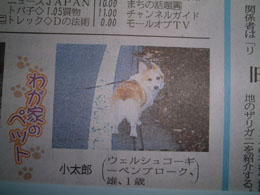 �V���f�r���[���I�I