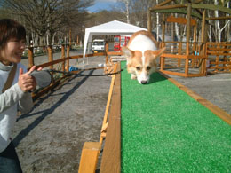 �A�W���e�B�����āE�E�E�E