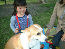 ���V�т���́��H�I