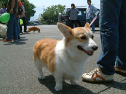 �����悧�`�I�I�A���^�C�s���Ă���΂悩�����ˁB