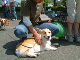 �ȂłȂł��Ă��������I�I