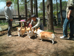 �Z����āE�E�����Ȃ��B���ǂ��Ċy���������Ȃ��`�`�`