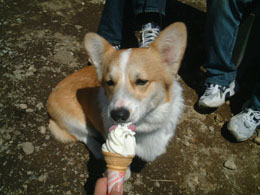 ���߂Ẵ\�t�g�N���[���I�I