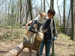 ������ɂ̂ڂ�����I�I