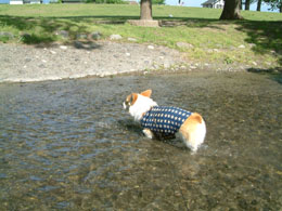 ��킽�股�`�`