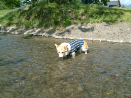 �����邨����E�E�E�E�E�E