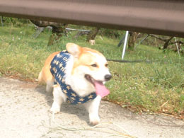 ���킟�`�`�`���I�I