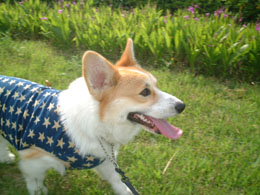 �₽���Ă������悢�����Ȃ��I�I