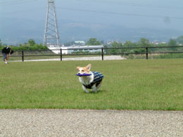 �L���b�`�I�I�I�I