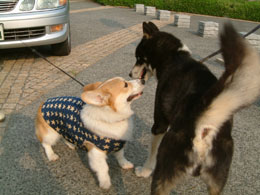 �F�B�̂�Ԃ��N�ƁI�I