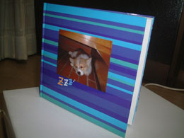 �l�̖{�����āI�I