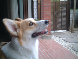 ����݂����āE�E�E�E