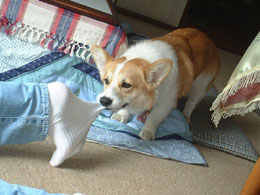 �l�̓��ӋZ�E�E�C���ʂ������`�`