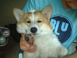 �܂����股�`�ڂ��`�`�E