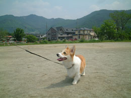 ���C����I�I