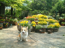 ���Ԃ��ꂢ���ˁ`