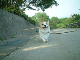 �����`��Ȗ_����������I�I