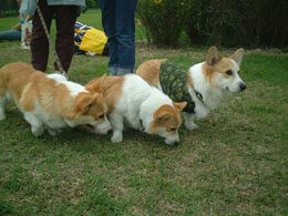 ���b�L�[�E�����Y�E�ՔV��