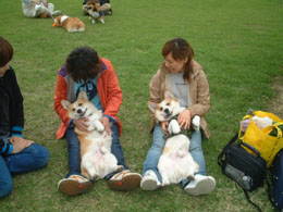 �V�т����ĂQ�C�ŃS�����I�I