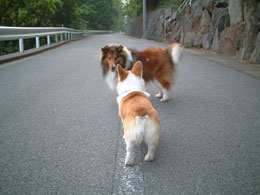 ���b�V���Ɩl�̂�����