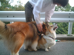 ���b�V���}�}���l�Ȃ񂾁i���������܂������H�I�H�I�H�I�a�x�ł��o�j