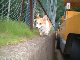 �����Ƃ����D��