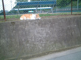 ����炟�`�`��������������ˁB�����Ȃ��I�I�I�i��͂͂����I�I�a�x�ł��o�j