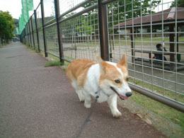 ���ʂ̓�����Ԉ�ԁI�I