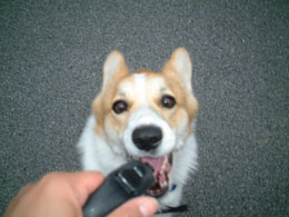 �K�I�H�H�H�H�b�I�I�I�I