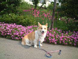 ���ԂƖl���ĊG�ɂȂ�ł���H�I