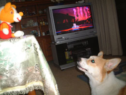 ���܂����킢���Ȃ��`�`�I�I