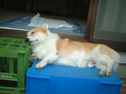 �����̒��Q�ꏊ�I�I