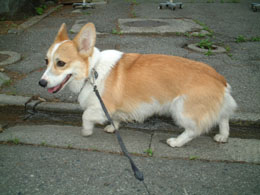 ���C�ɂȂ�����I�I