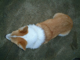 �܂�Ȃ��悧�`