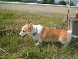 �҂��҂��I�I