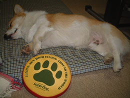 �f�B�X�N�L���b�`�`�`�I�I