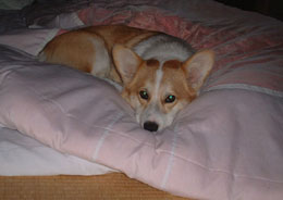 �z�c���Ă����������Ȃ��`�`