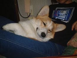 ��͂������B���̑������˂����������񂾂�Ȃ��I�I