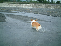 ���ڂ��ځE�E�E