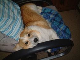 �������股�`�`������