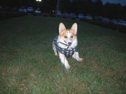 �v���Ԃ�̂ł��o����񂾁`�V�ڂ��V�ڂ��I�I